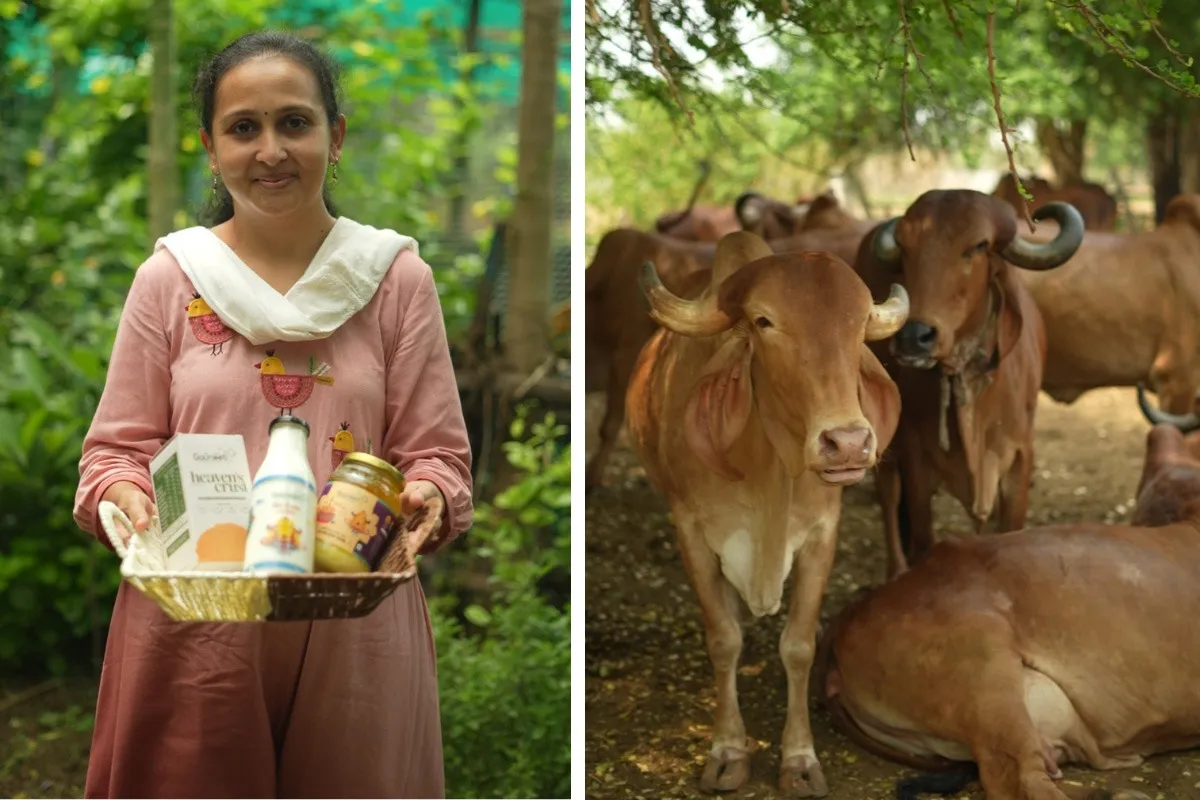 gauneeti-gir-cow-dairy-products-30stades