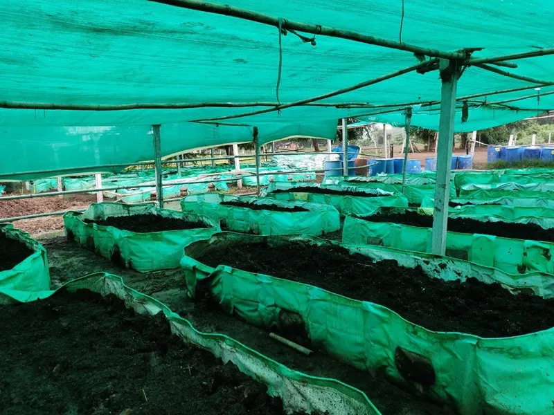 gauneeti-gir-cow-dairy-vermicompost-30stades