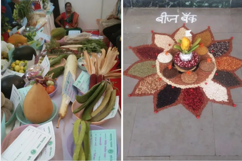 Milind-sawant-seed-bank-collection-30stades