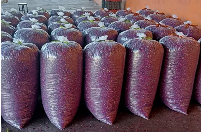 shivraj-nishad-dried-flowers-packed-30stades