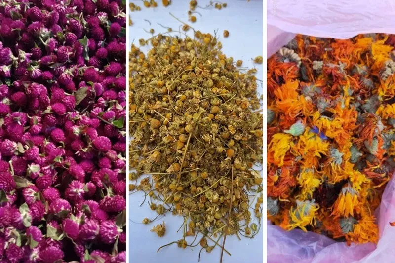 shivraj-nishad-dried-flowers-variety-30stades