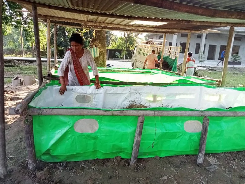 kanika-new-talukdar-examining-compost-bed-30stades
