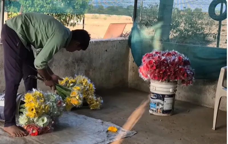 ankit-lande-gerbera-farming-packaging-30stades