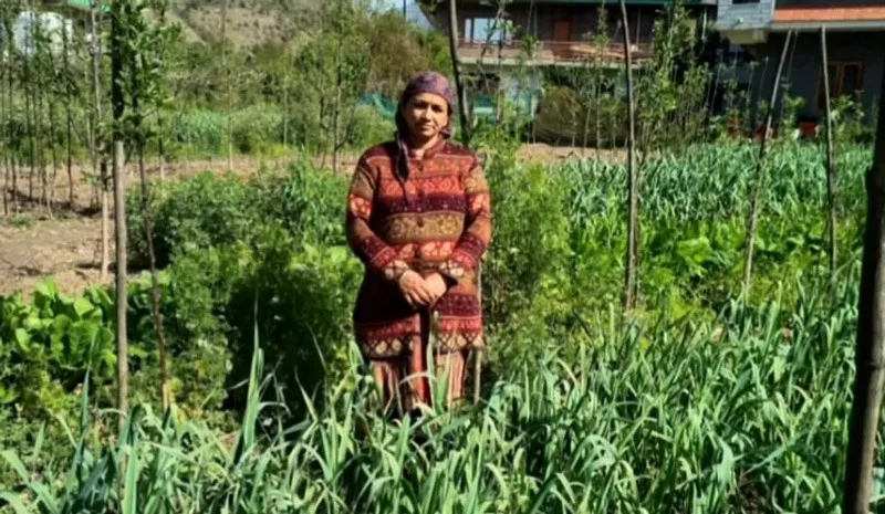 anita-negi-kullu-natural-farmer-nursery-30stades