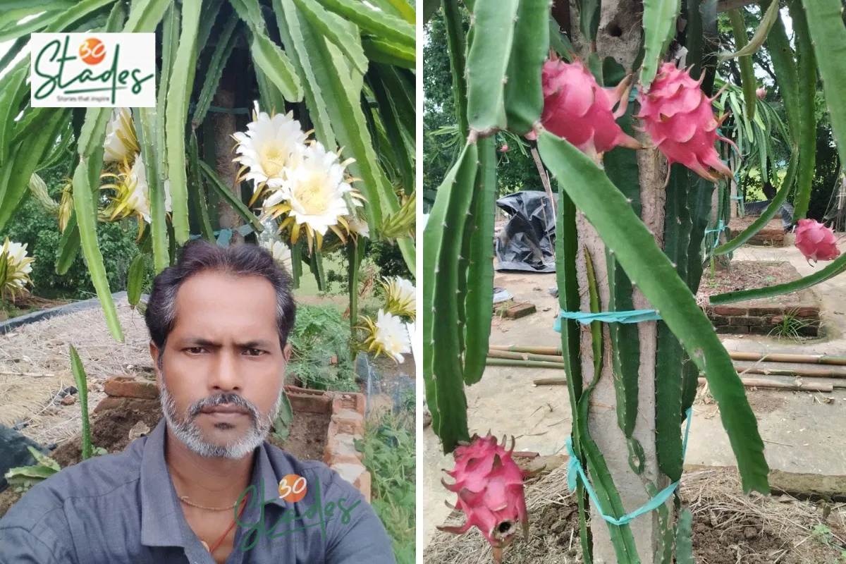 babuli-dragon-fruit-lead-odisha-30stades
