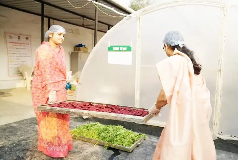 vandana-patil-solar-drying-entering-dryer-30stades