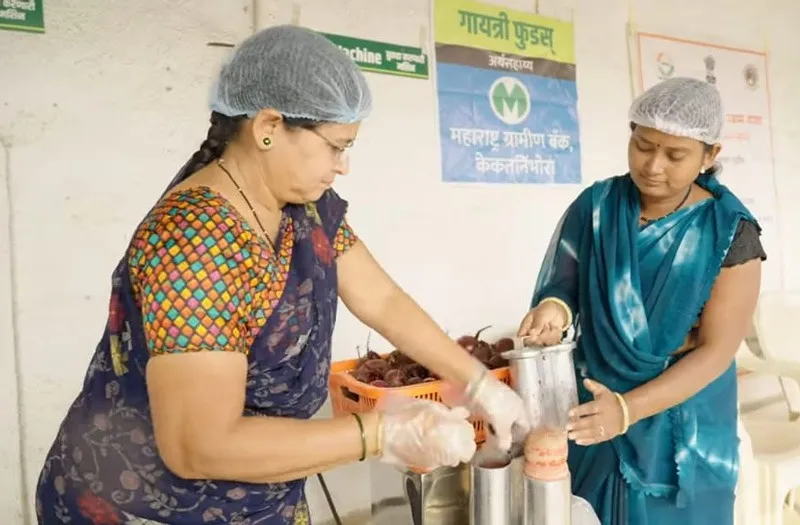 vandana-patil-solar-drying-working-beetroot-30stades