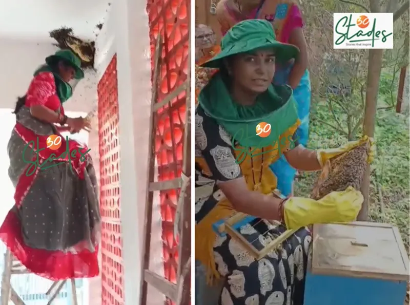 rohini-patil-forest-honey-bee-collecting-30stades