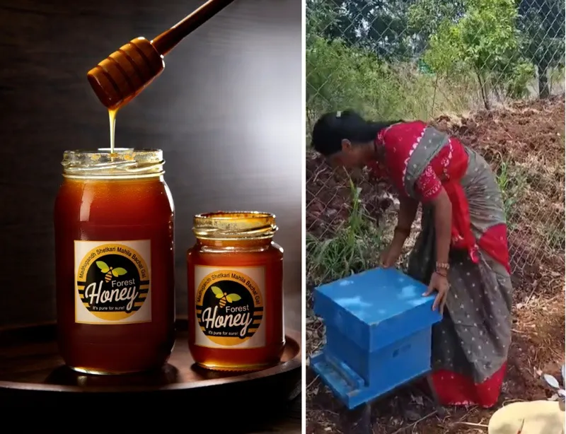 rohini-patil-forest-honey-bottles-boxes-30stades