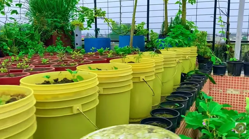 rooftop-gardening-small-space-buckets-30stades