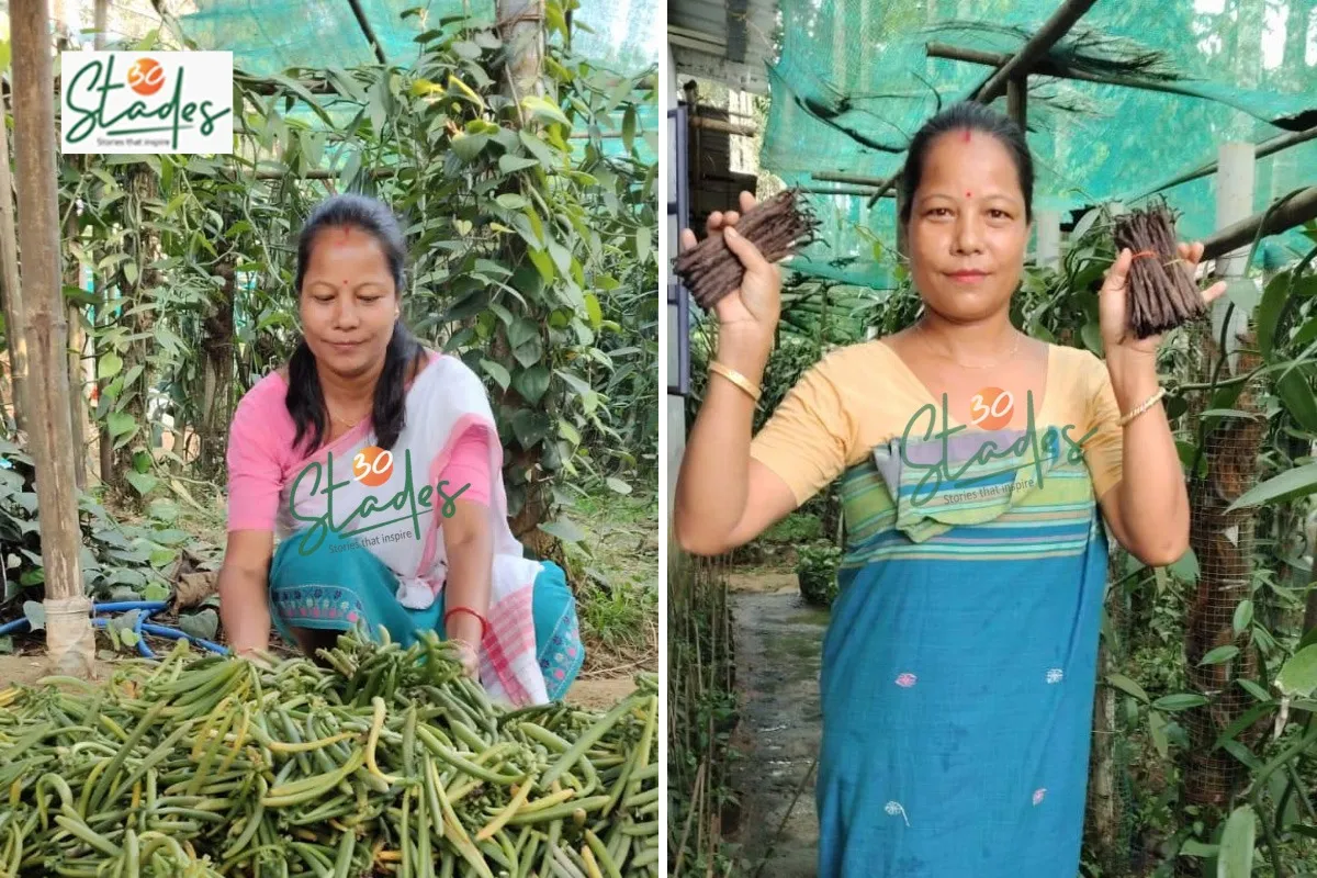 camerina-rabha-vanilla-assam-lead-30stades