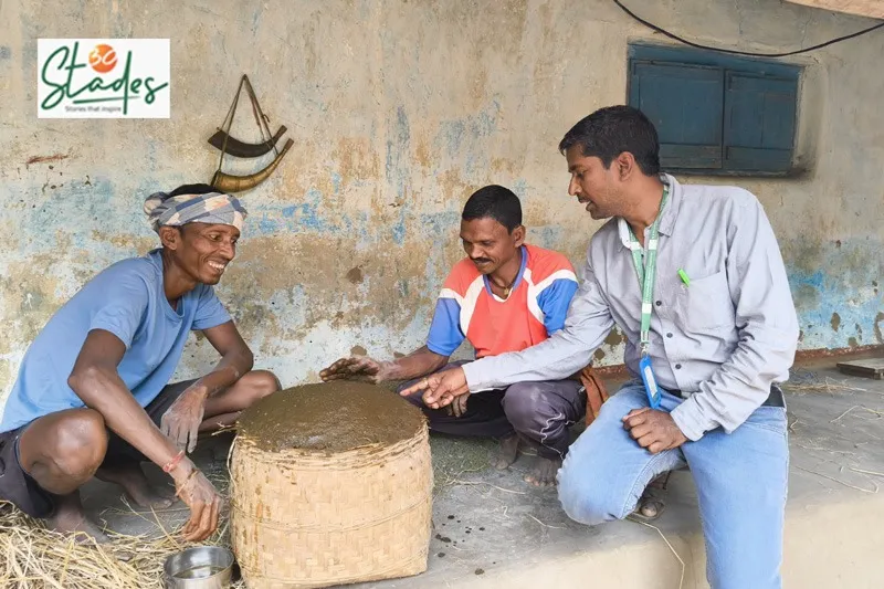 legumes-fallow-land-odisha-seeds-30stades