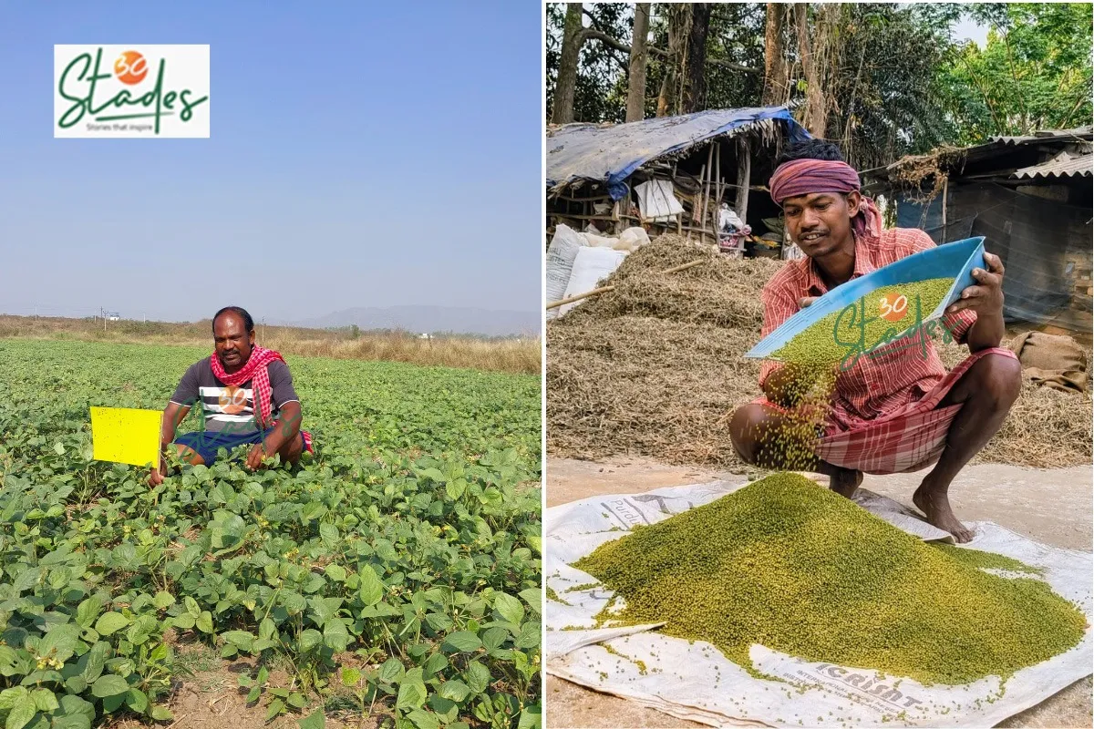 legumes-fallow-land-odisha-tribals-lead-30stades