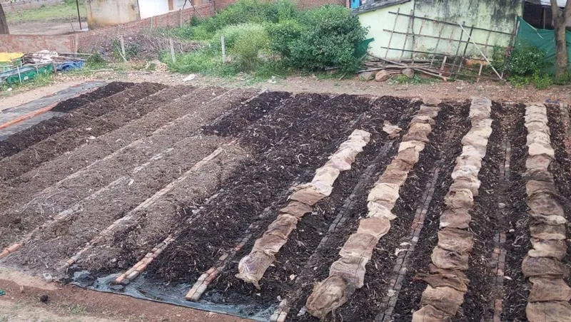 jitendra-moharana-vermicompost-beds-odisha-30stades