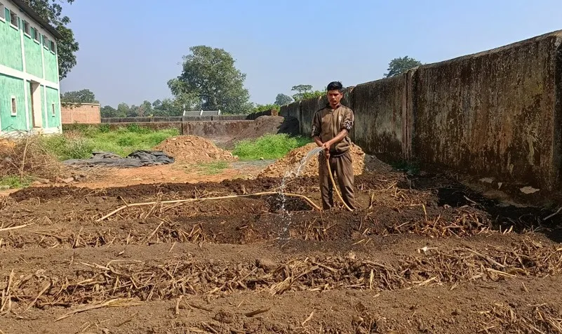 jitendra-moharana-vermicompost-watering-30stades