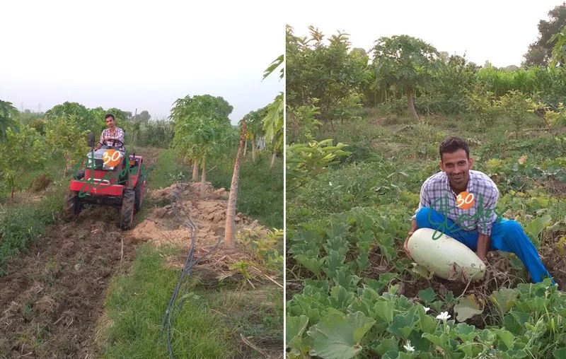 vijay-singh-sugarcane-food-forest-30stades