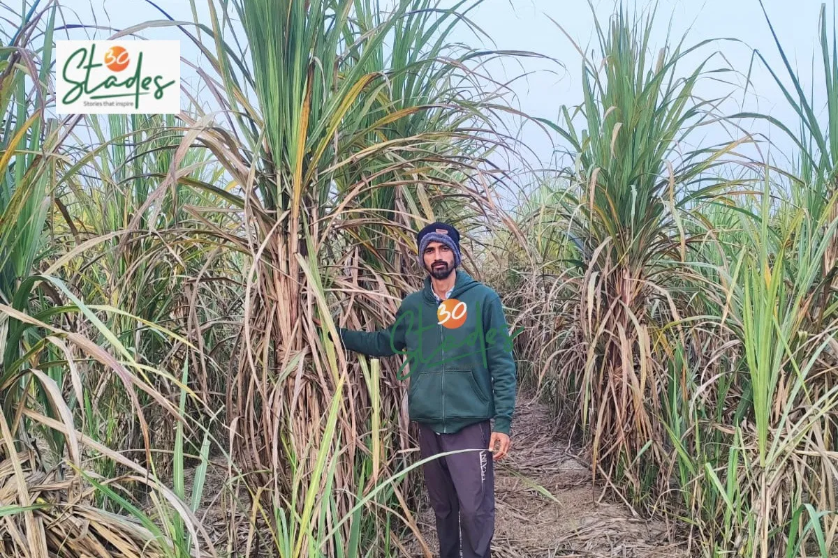 vijay-singh-sugarcane-lead-30stades