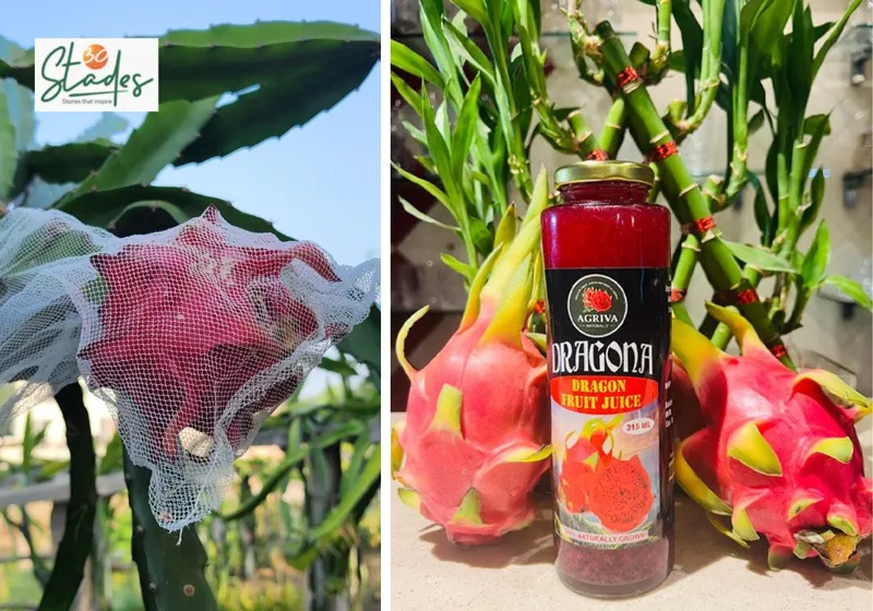 reeva-dragon-fruit-juice-bottle-30stades