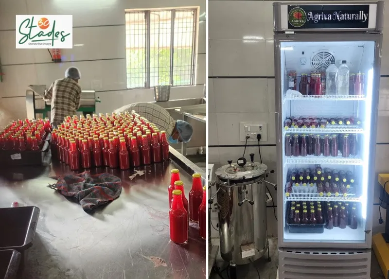 reeva-dragon-fruit-juice-plant-30stades