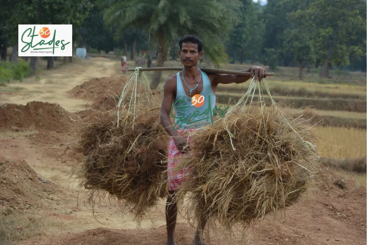 rantal-native-paddy-organic-harvest-30stades