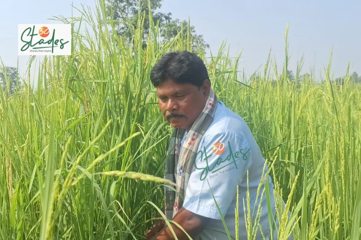 rantal-native-paddy-organic-lead-30stades