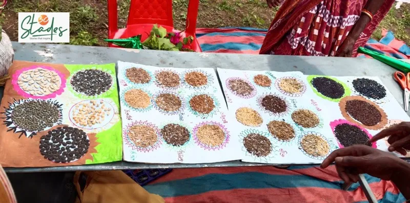 rantal-native-paddy-organic-varieties-30stades