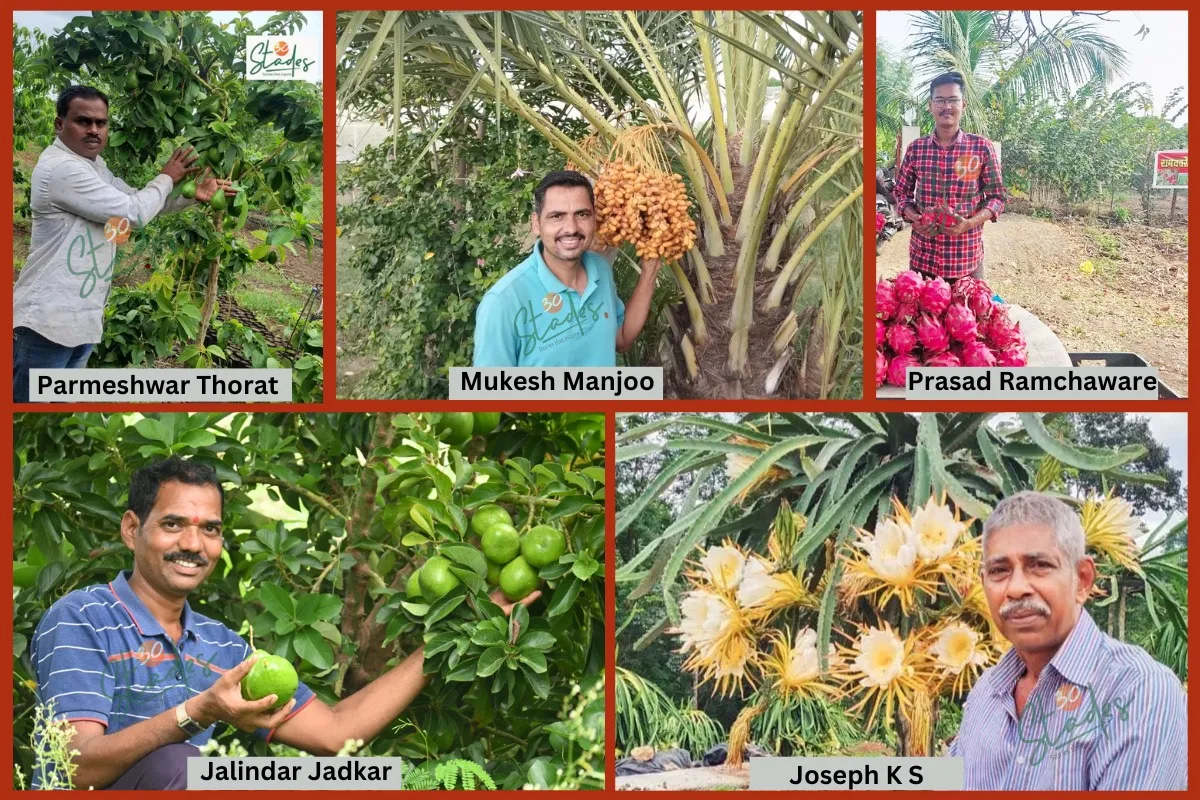 five-farmes-exotics-barren-land-30stades