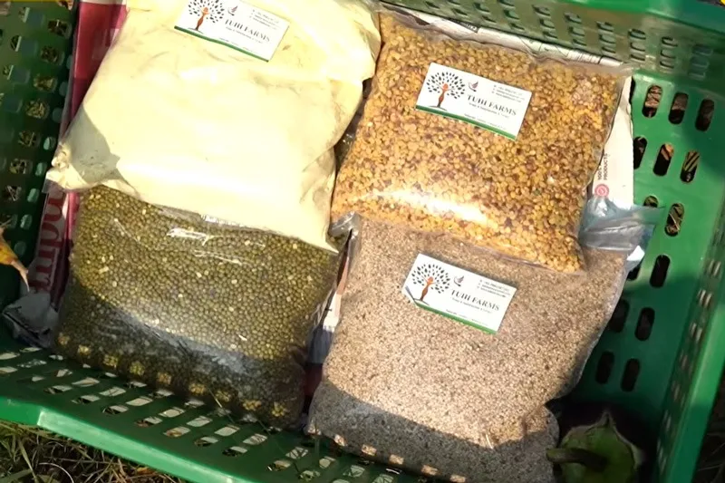 Tuhi-farms-organic-rashmi-sachar-packed-30stades