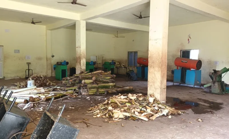 kasinath-jena-banana-stems-30stades