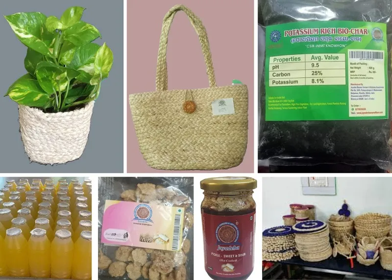 kasinath-jena-banana-waste-bio-char-30stades