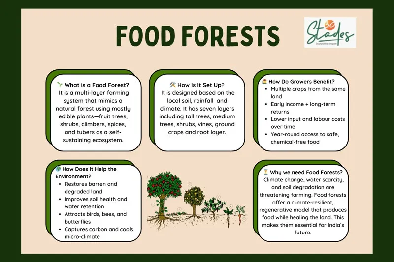 food-forest-infographic-30stades
