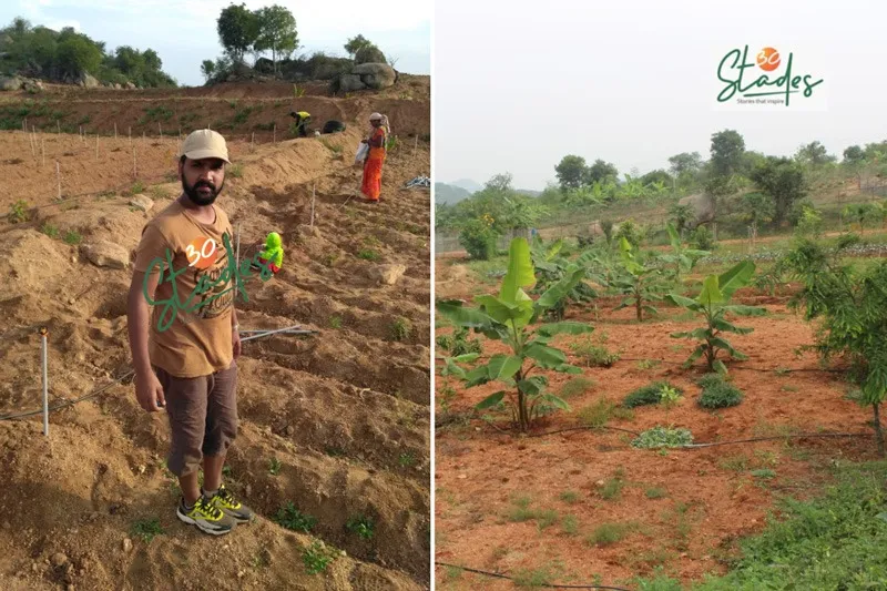 shihab-food-forest-early-days-30stades