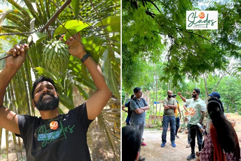 shihab-food-forest-harvesting-30stades