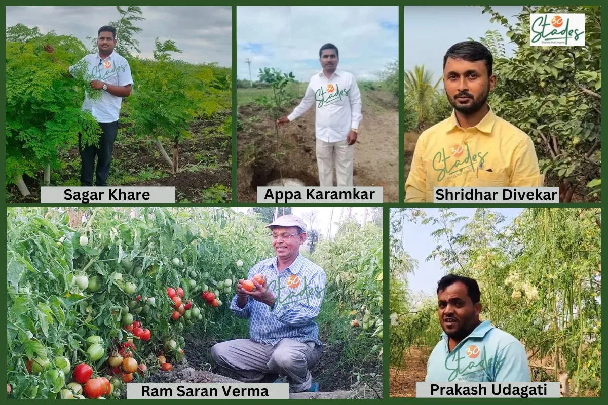 five-farmers-sugarcane-replacement-30stades