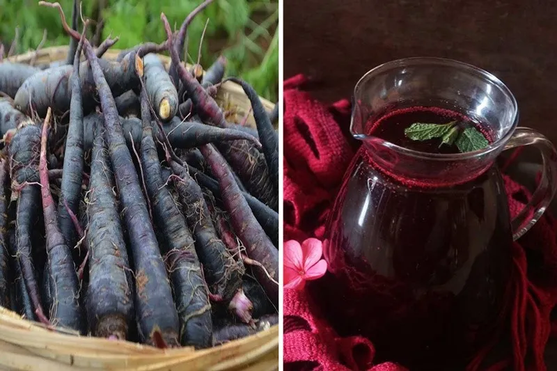 five-fermented-probiotic-drinks-kanji-30stades