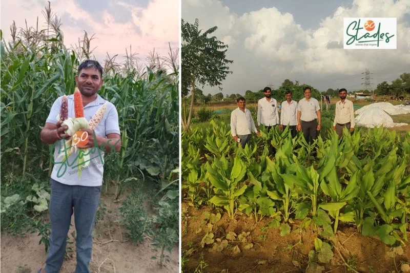 sanjay-yadav-mushroom-natural-farming-30stades