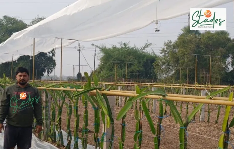 santosh-behera-dragon-fruit-trellis-30stades