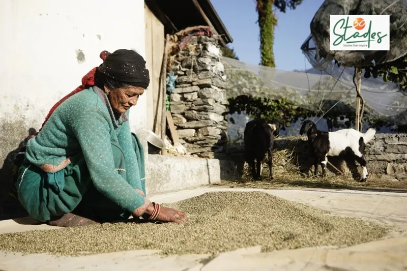 kumaon-khand-hemp-woman-seeds-30stades