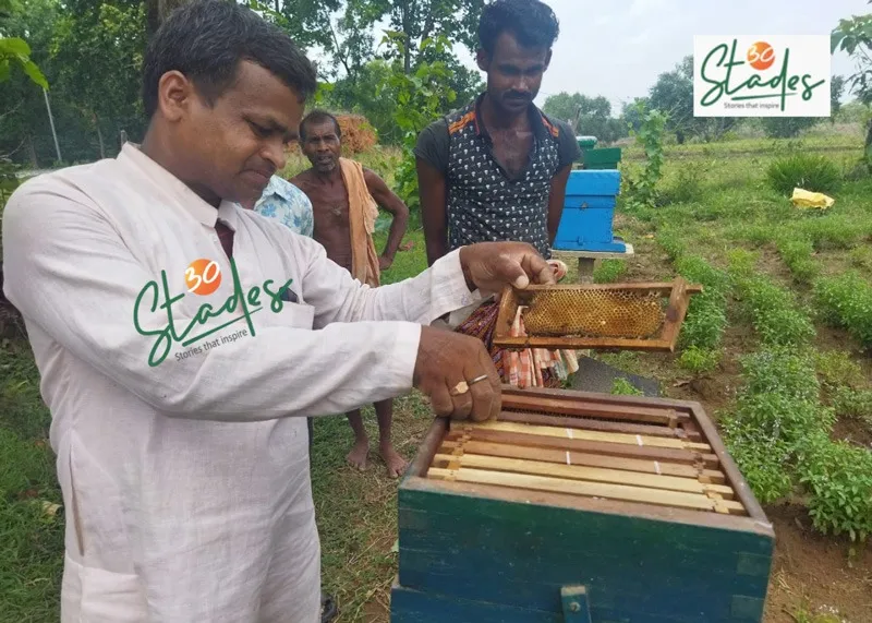 maheswar-beekeeping-odisha-beebox-30stades