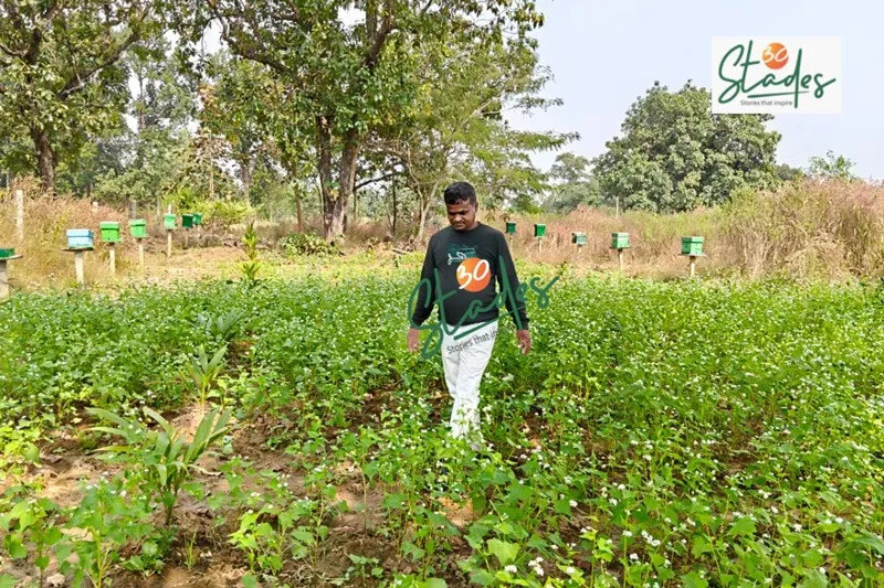 maheswar-beekeeping-odisha-fields-30stades