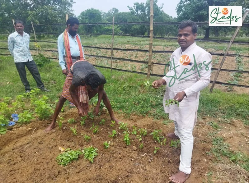 maheswar-beekeeping-odisha-workers-30stades