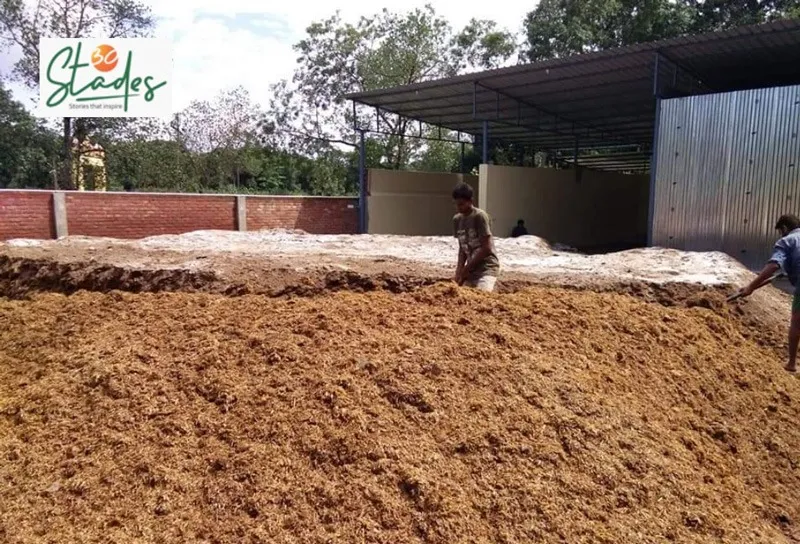 Vibhor-chauhan-button-mushroom-compost-30stades