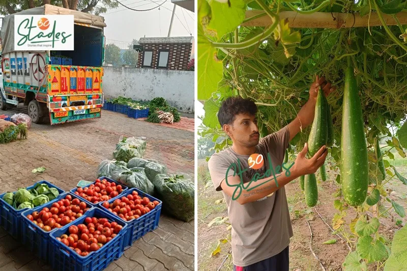 balram-kulena-organic-vegetables-loading-truck-30stades
