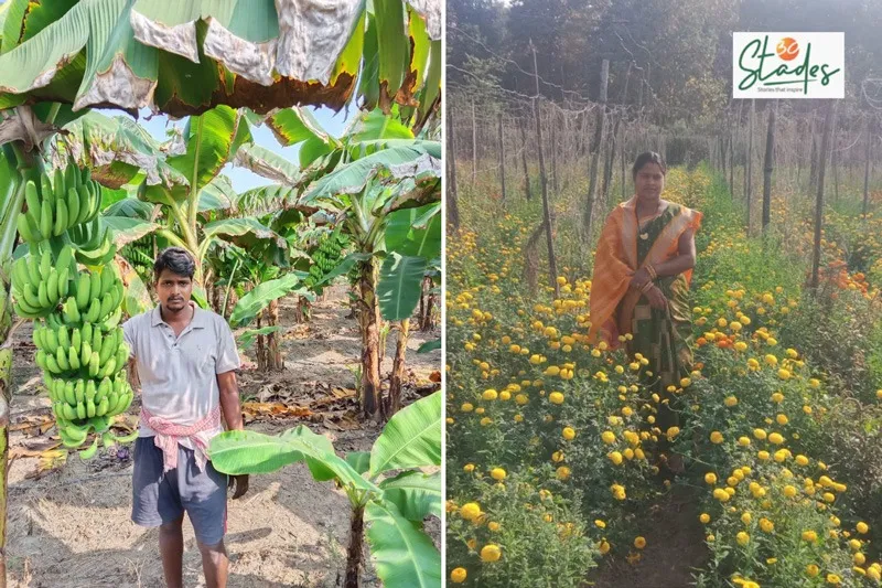 hirod-patel-odisha-farmer-banana-marigold-30stades