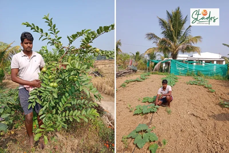hirod-patel-odisha-farmer-guava-30stades