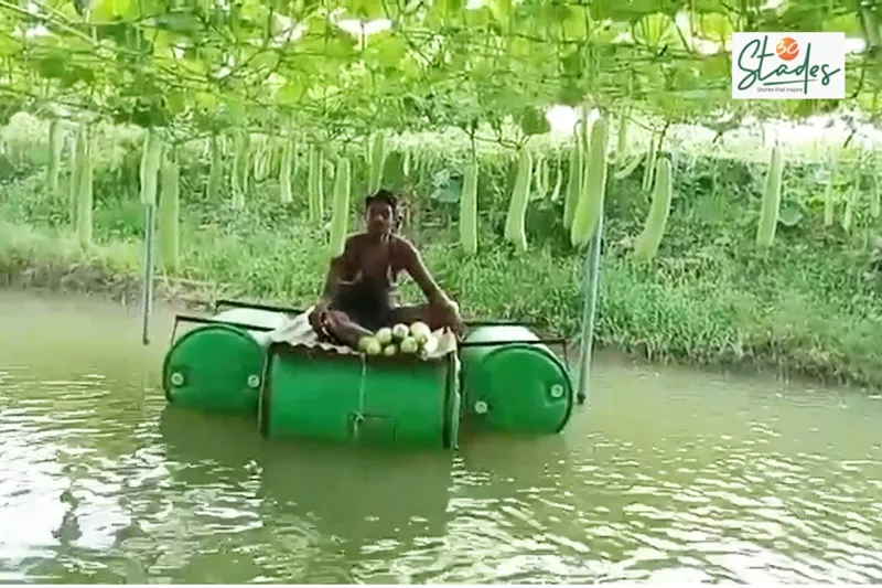 hirod-patel-odisha-farmer-trellis-30stades