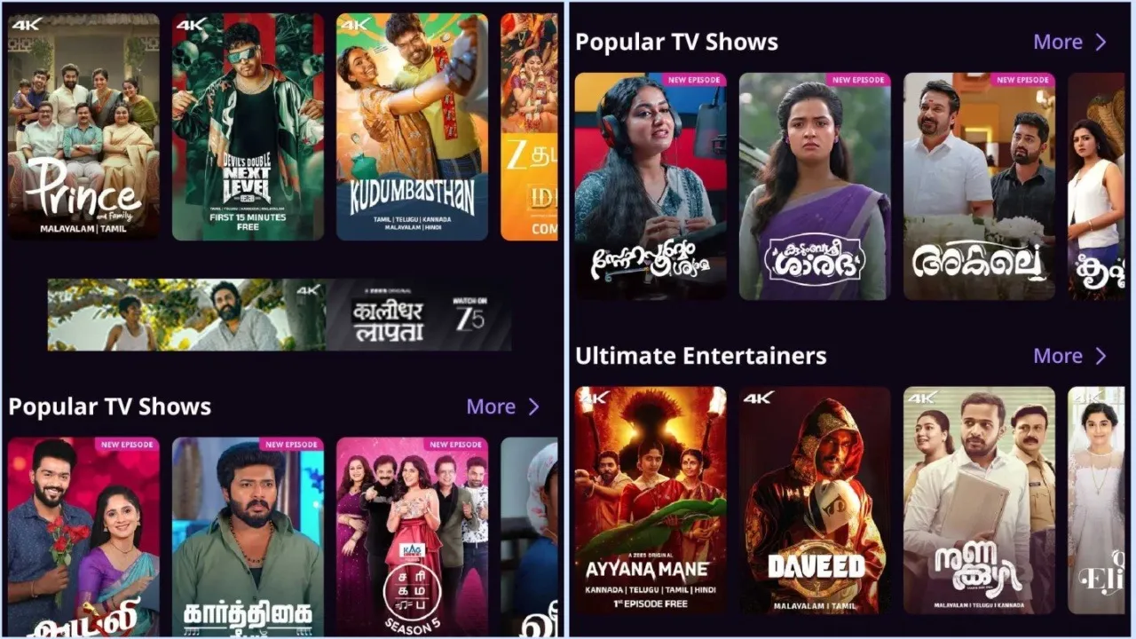 Zee5 Apni Bhasha regional OTT subscription plans in India