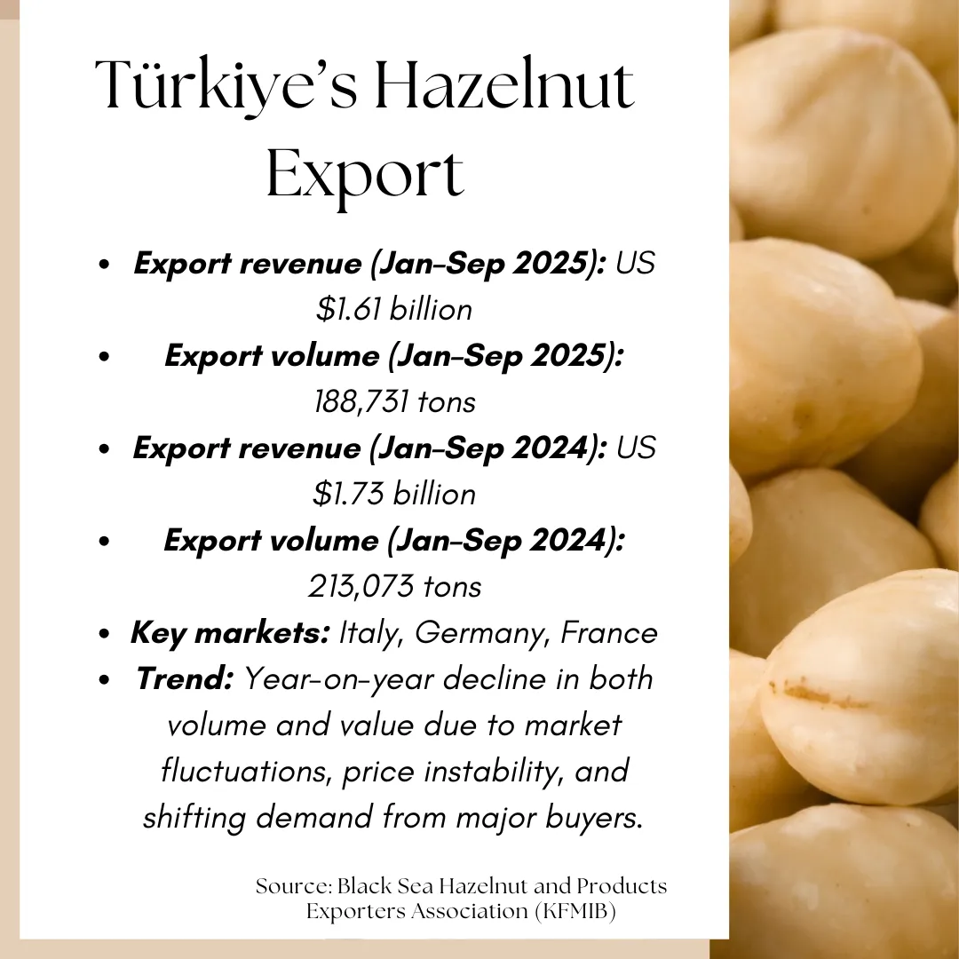 Turkeys Hazelnuts export