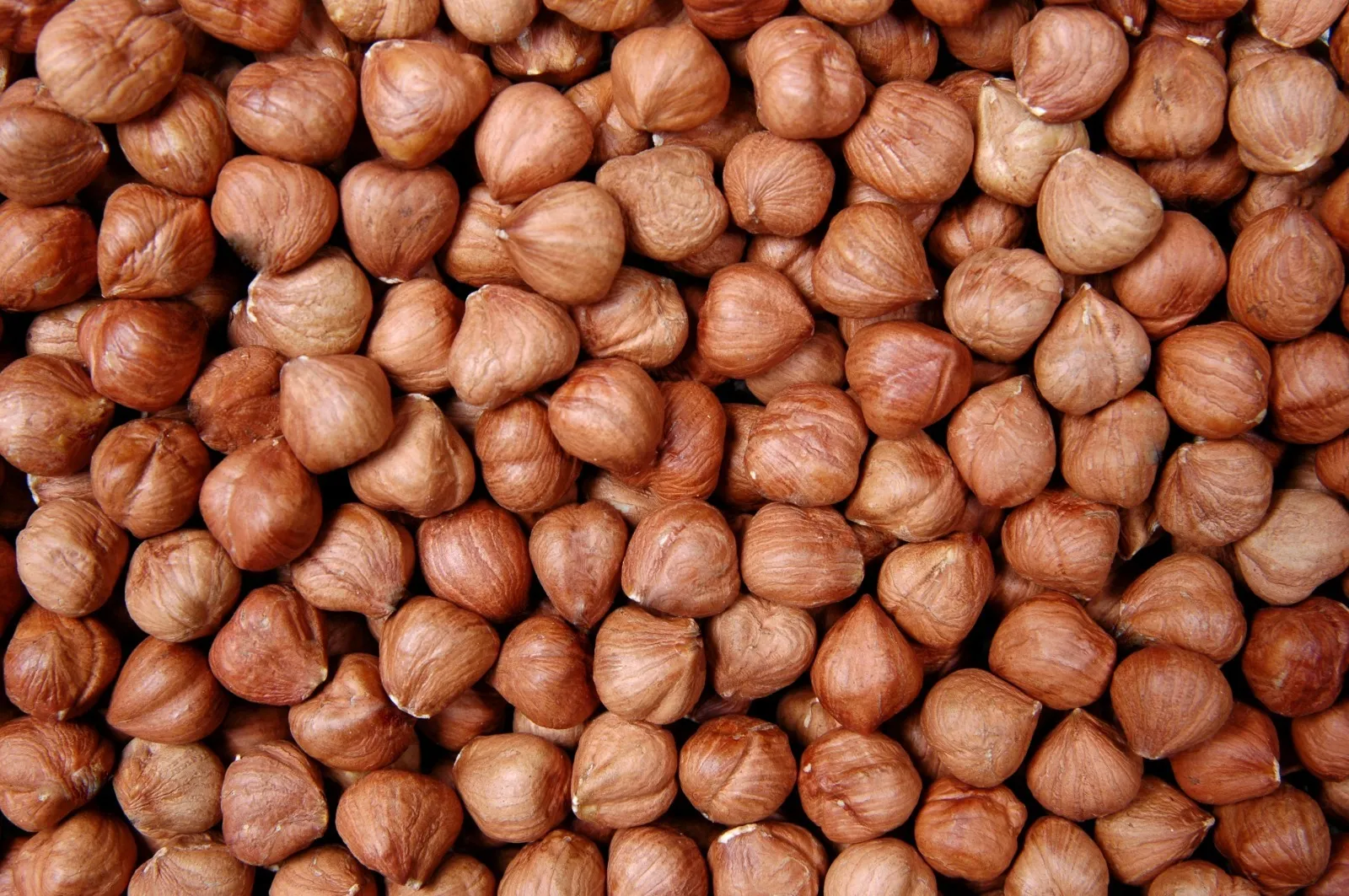 Hazelnuts