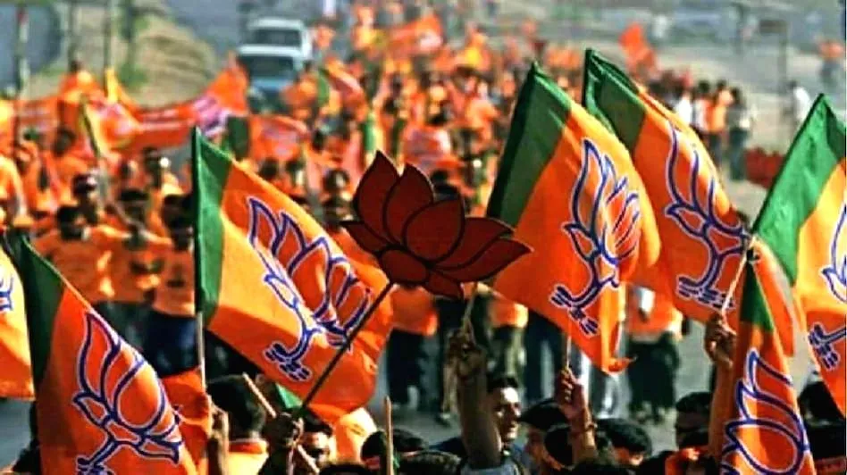 bjp-flag-15216581